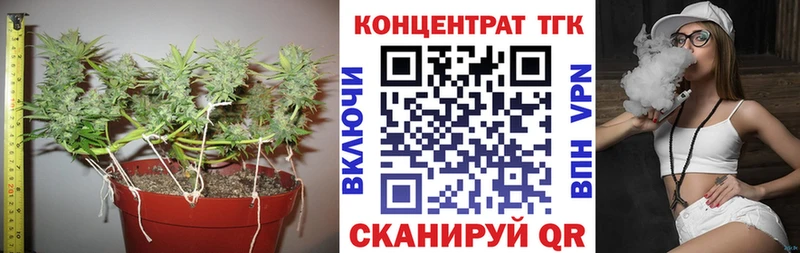 ТГК Wax  Павловск 